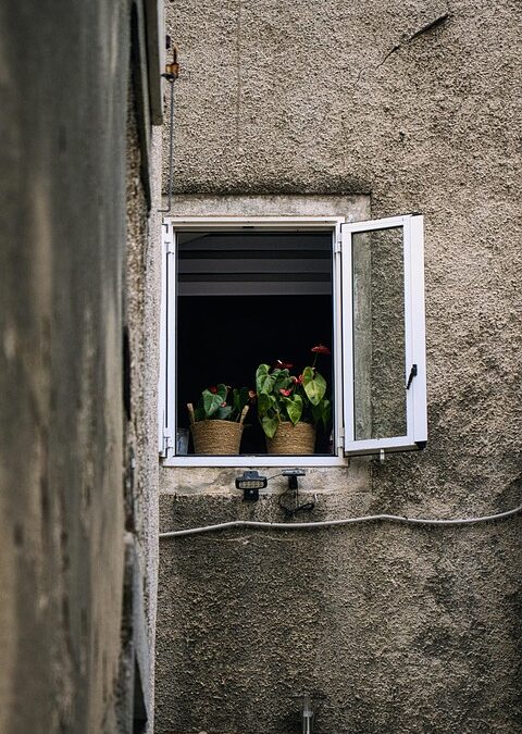 Windows of Opportunity: Why Bradenton's Window Cleaners Should Embrace PPC Marketing Now!