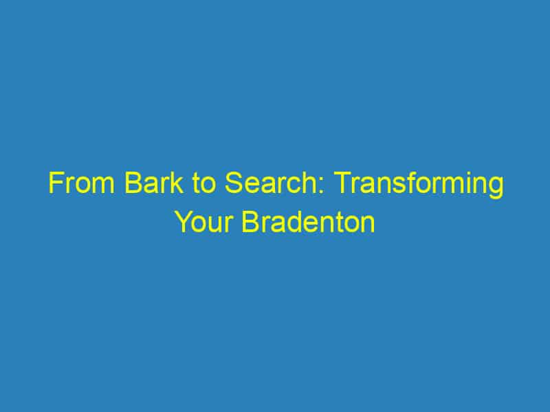 From Bark to Search: Transforming Your Bradenton Vet Business with Targeted PPC Campaigns