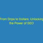 From Drips to Dollars: Unlocking the Power of SEO for Your Bradenton Plumbing Business