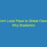 From Local Paws to Global Claws: Why Bradenton Veterinarians Can’t Afford to Ignore SEO
