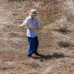 From Local to Legendary: How SEO Can Transform Your Bradenton Deck Building Business