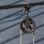 From Local to Legendary: Transform Your Sarasota Moving Company with Effective SEO Tactics