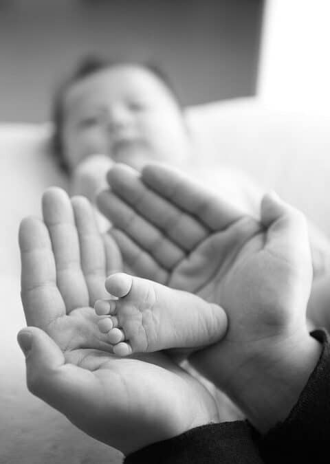 “Adventures in Advertising: The Top PPC Benefits for Sarasota’s Child Care Centers”