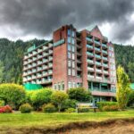 Barking Up the Right Tree: Maximizing Your Bradenton Pet Boarding Visibility with PPC