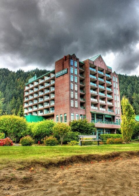 Barking Up the Right Tree: Maximizing Your Bradenton Pet Boarding Visibility with PPC