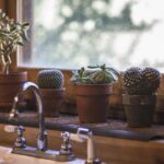 Beyond Renovation: Why SEO is the Game-Changer for Bradenton's Home Remodeling Businesses