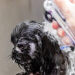 Boost Your Chair: How PPC Can Transform Your Bradenton Hair Salon's Clientele