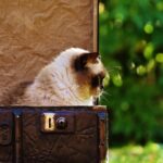 Boost Your Junk Removal Business in Bradenton: The SEO Strategies You Can't Afford to Miss!
