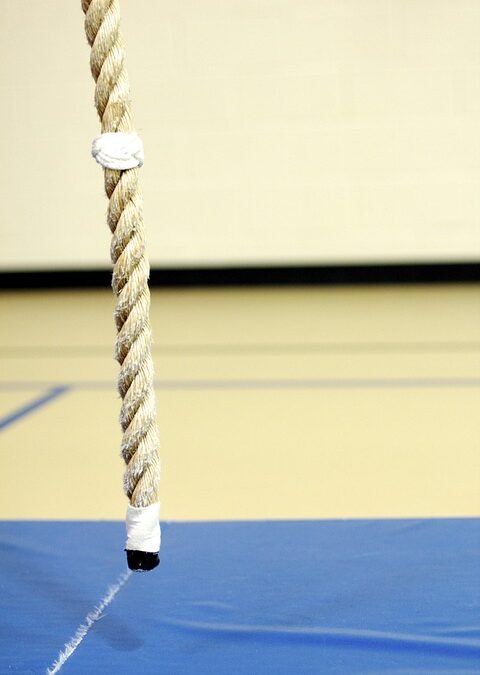 Boost Your Sarasota Gym's Revenue: How PPC Advertising Can Transform Your Member Base!
