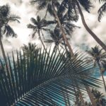 Boost Your Siding Business: How PPC Can Put Bradenton Contractors on the Map!