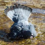 Breathe Easy and Boost Your Business: How SEO Can Elevate Your Bradenton Dryer Vent Cleaning Services