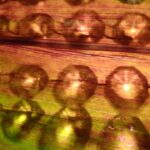 Brick by Brick: The Essential Guide to SEO for Bradenton's General Contractors Seeking Growth