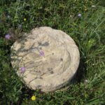 Build Your Client Base: The Top 5 PPC Strategies for Sarasota's Excavation Contractors