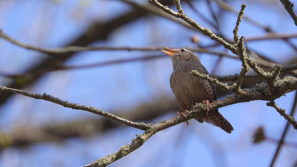 Building Success: How SEO Can Elevate Sarasota's General Contractors to New Heights