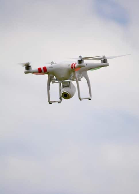 Buzzing with Business: How SEO Can Elevate Your Bradenton Pest Control Company