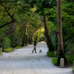 “Clean Sweep: Why Sarasota House Cleaners Can't Afford to Ignore PPC Advertising”