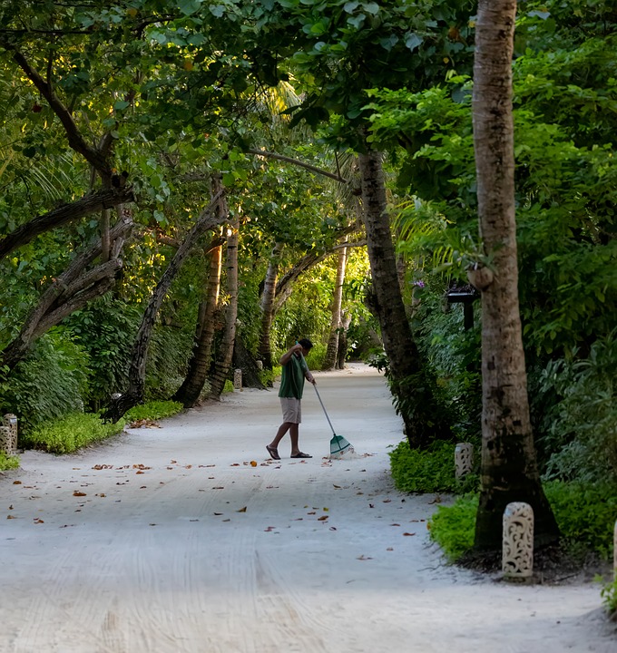 “Clean Sweep: Why Sarasota House Cleaners Can't Afford to Ignore PPC Advertising”