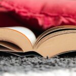 Cleaning Up Online: How PPC Can Elevate Your Bradenton Carpet Cleaning Business