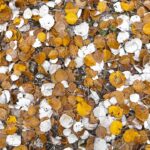 Cleaning Up with Keywords: How Bradenton Carpet Cleaners Can Boost Business with SEO Strategies