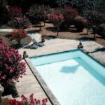 Clear Blue Waters & Visibility: Unlocking the Benefits of SEO for Your Pool Repair Business in Bradenton