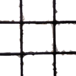 Clear the Clutter: How PPC Advertising Can Brighten Your Bradenton Window Cleaning Business