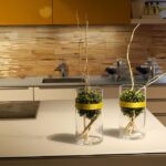Crafting a Recipe for Success: Boost Your Sarasota Kitchen Remodeling Business with SEO Strategies