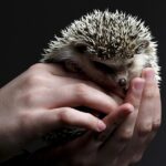 “Cultivate Your Client Base: The Surprising Benefits of PPC for Sarasota Lawn Care Entrepreneurs”