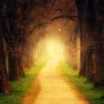 Cultivating Clients: Transform Your Sarasota Tree Service with Targeted PPC Strategies