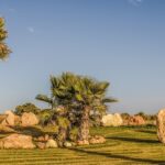 Digging Deep: How SEO Can Help Your Bradenton Landscaping Business Stand Out in a Competitive Market