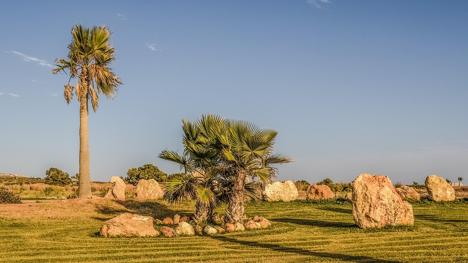 Digging Deep: How SEO Can Help Your Bradenton Landscaping Business Stand Out in a Competitive Market