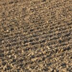 Digging Deep: Uncovering the SEO Benefits for Bradenton’s Land Grading Companies