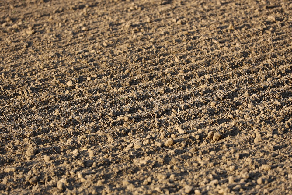 Digging Deep: Uncovering the SEO Benefits for Bradenton’s Land Grading Companies