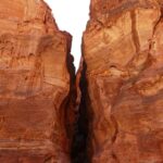 Digging Deeper: How PPC Can Uncover New Customers for Bradenton Excavation Contractors