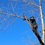 Digging for Success: Why Bradenton's Landscapers Can't Afford to Skip PPC Advertising!