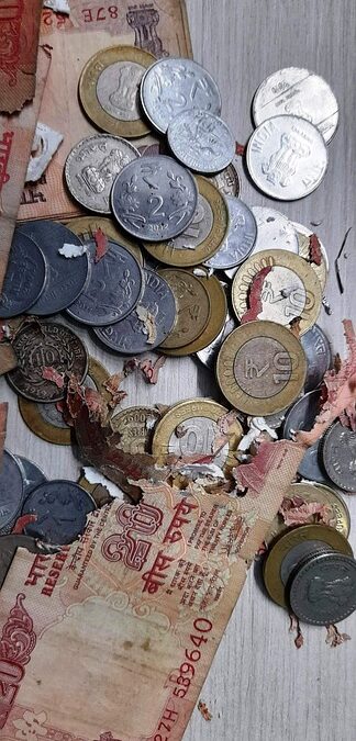 Digital Dollars: How PPC Can Elevate Your Bradenton Accounting Business Above the Competition