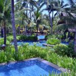 Dive into Online Success: The Top SEO Strategies for Sarasota Pool Repair Companies