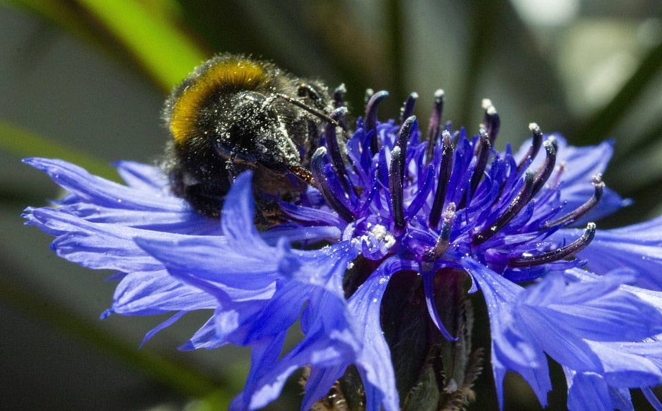 Don't Let Your Business Go Down the Drain: Boost Your Bradenton Septic Services with Smart SEO