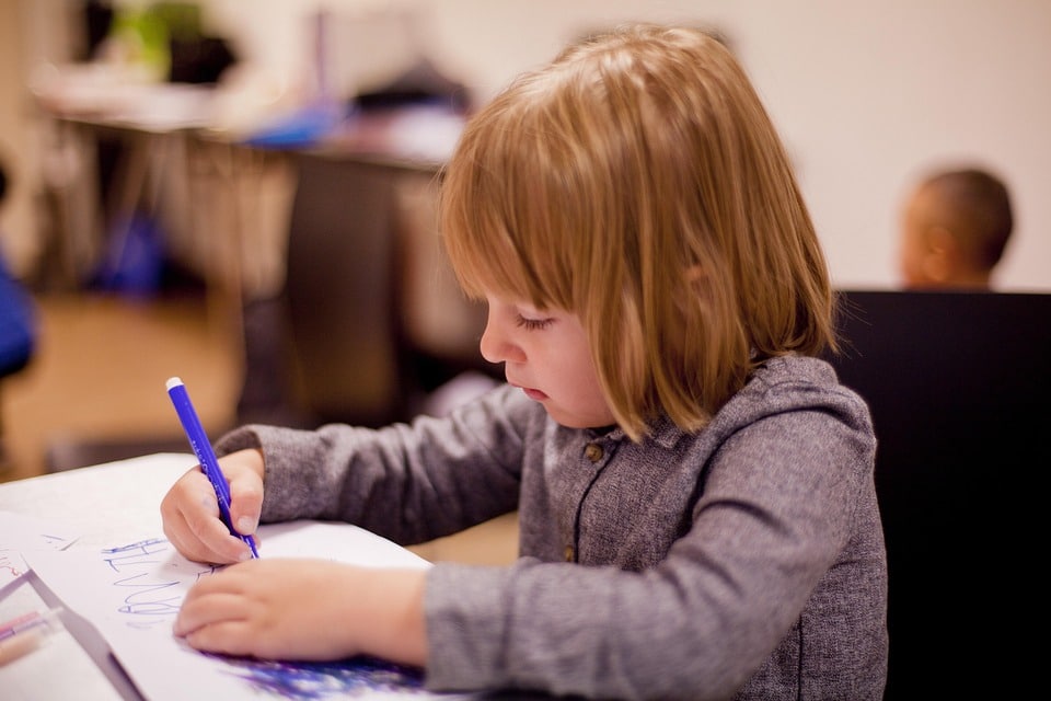 Don't Stall Your Growth! How SEO Can Drive More Students to Your Bradenton Driving School