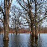 “Drenching the Competition: Boost Your Sarasota Water Damage Restoration Business with Smart SEO Strategies”