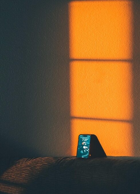 Elevate Your Home Inspection Game: The Essential Role of SEO in Sarasota's Competitive Market