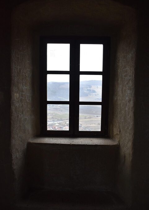 Elevate Your Sarasota Business: The Untapped Potential of PPC for Window Replacement Services