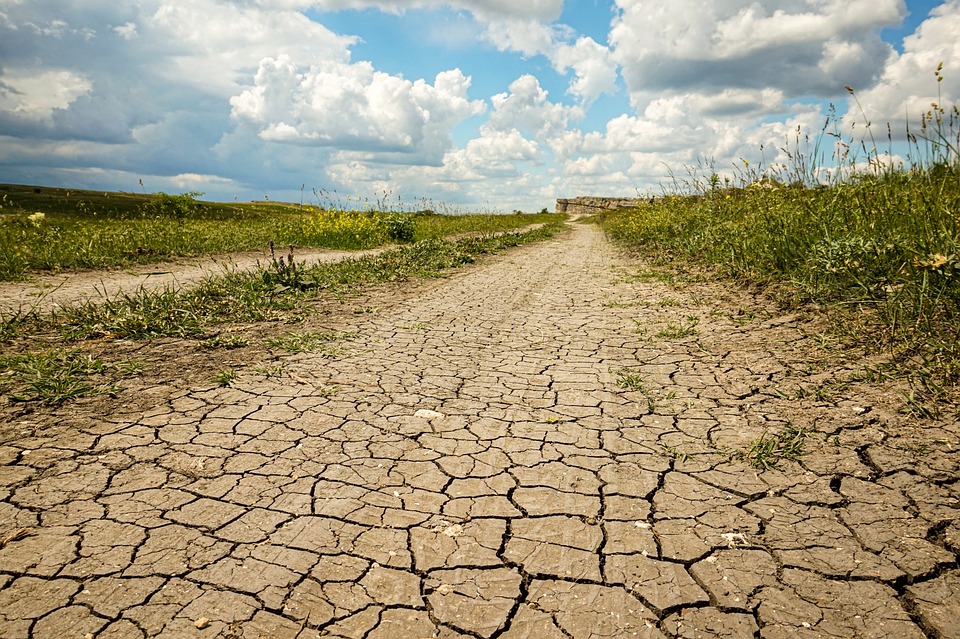 Excavate Success: Transform Your Sarasota Land Grading Business with Proven SEO Techniques