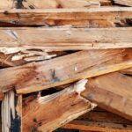 Excavate Success: Uncover the SEO Benefits That Can Elevate Your Demolition Services in Bradenton