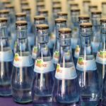 Feeding the Algorithm: 5 SEO Strategies Every Bradenton Caterer Should Master