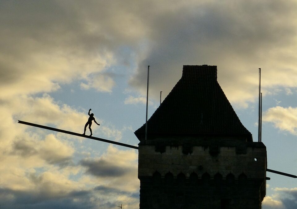 “Fetch More Customers: Maximizing Your Bradenton Dog Walking Business with Strategic PPC Campaigns”