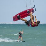 Fetch More Customers: The SEO Secrets Every Sarasota Pet Boarding Business Should Know