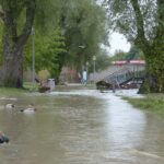 Flooding Your Business with Opportunity: How PPC Can Transform Your Water Damage Restoration Services in Bradenton