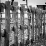 From Backyard Beauties to Business Boom: The Benefits of PPC for Fence Installers in Sarasota