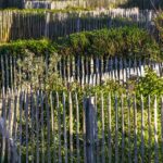 From Backyard to Business: Unlocking Growth for Fence Companies in Bradenton with PPC
