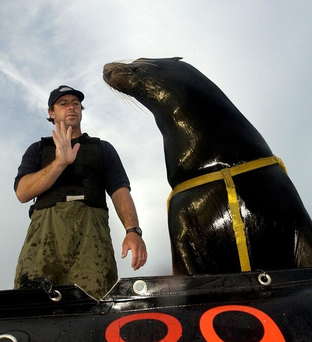 From Bark to Business: The Top 5 SEO Tips Every Sarasota Pet Trainer Should Know